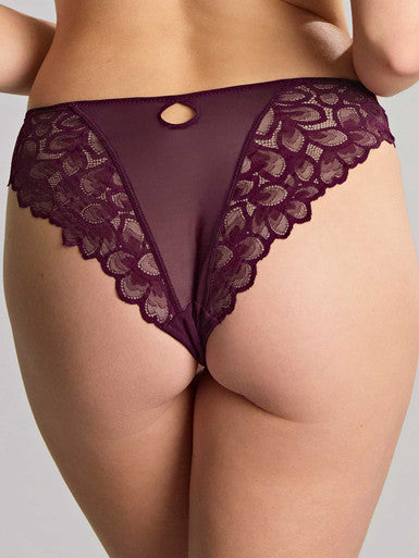 Panache Allure Brazilian Fashion Color - Plum Bra Fittings by Court