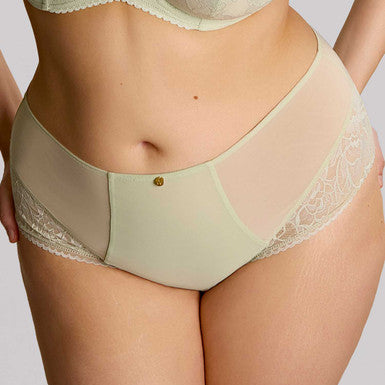 Sculptresse by Panache Dream Deep Brief-Pistachio Bra Fittings by Court