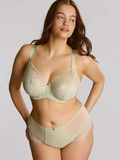 Sculptresse by Panache Dream Deep Brief-Pistachio Bra Fittings by Court