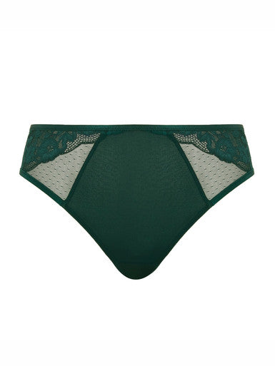 Sculptresse by Panache Josephine High Leg Brief Bra Fittings by Court 8 US / 12 UK (M) FOREST GREEN