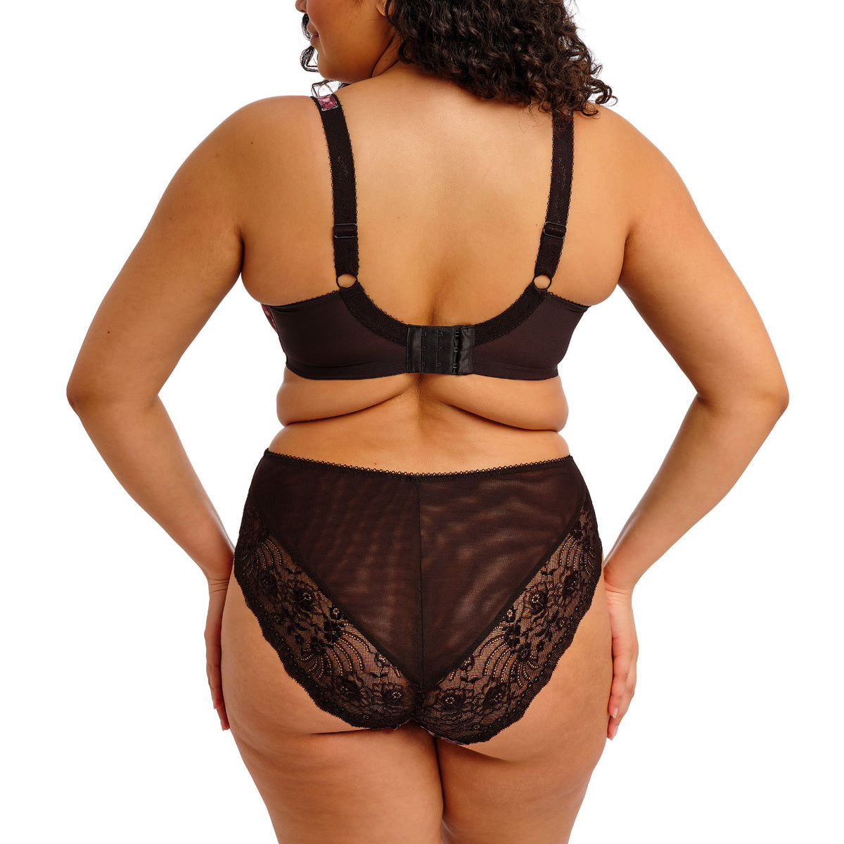 Elomi Morgan Fashion Color - Dark Romance Elomi