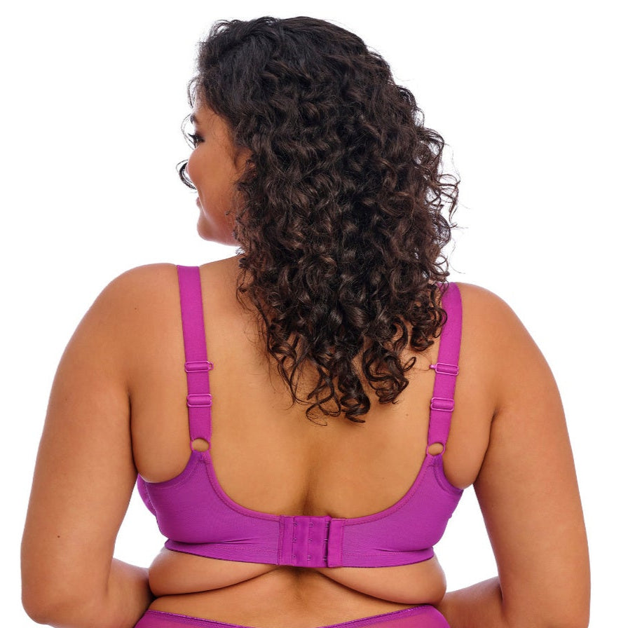 Elomi Matilda - Hollyhock Elomi