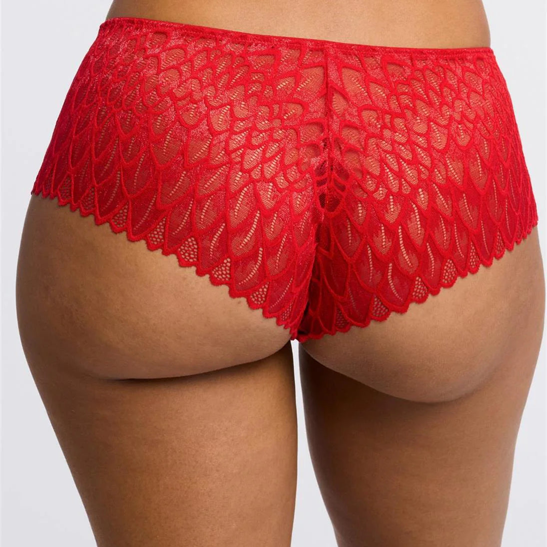 Montelle Lacy Brazilian Panty Bra Fittings by Court