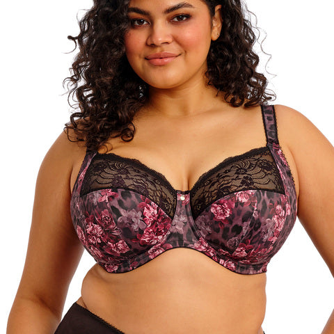 Elomi Morgan Fashion Color - Dark Romance Elomi
