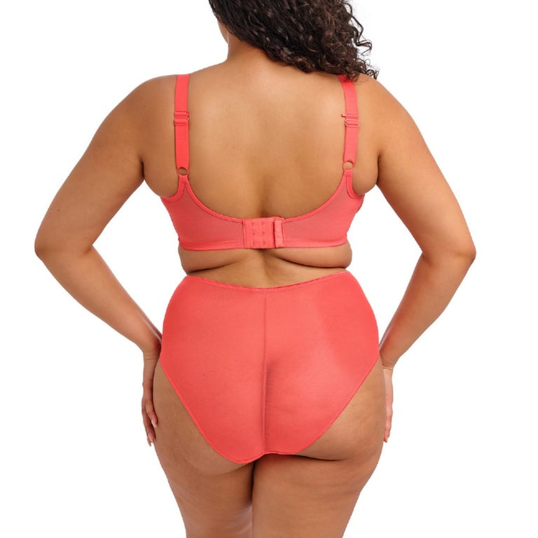 Elomi Matilda Brief - Sunset Brief Elomi