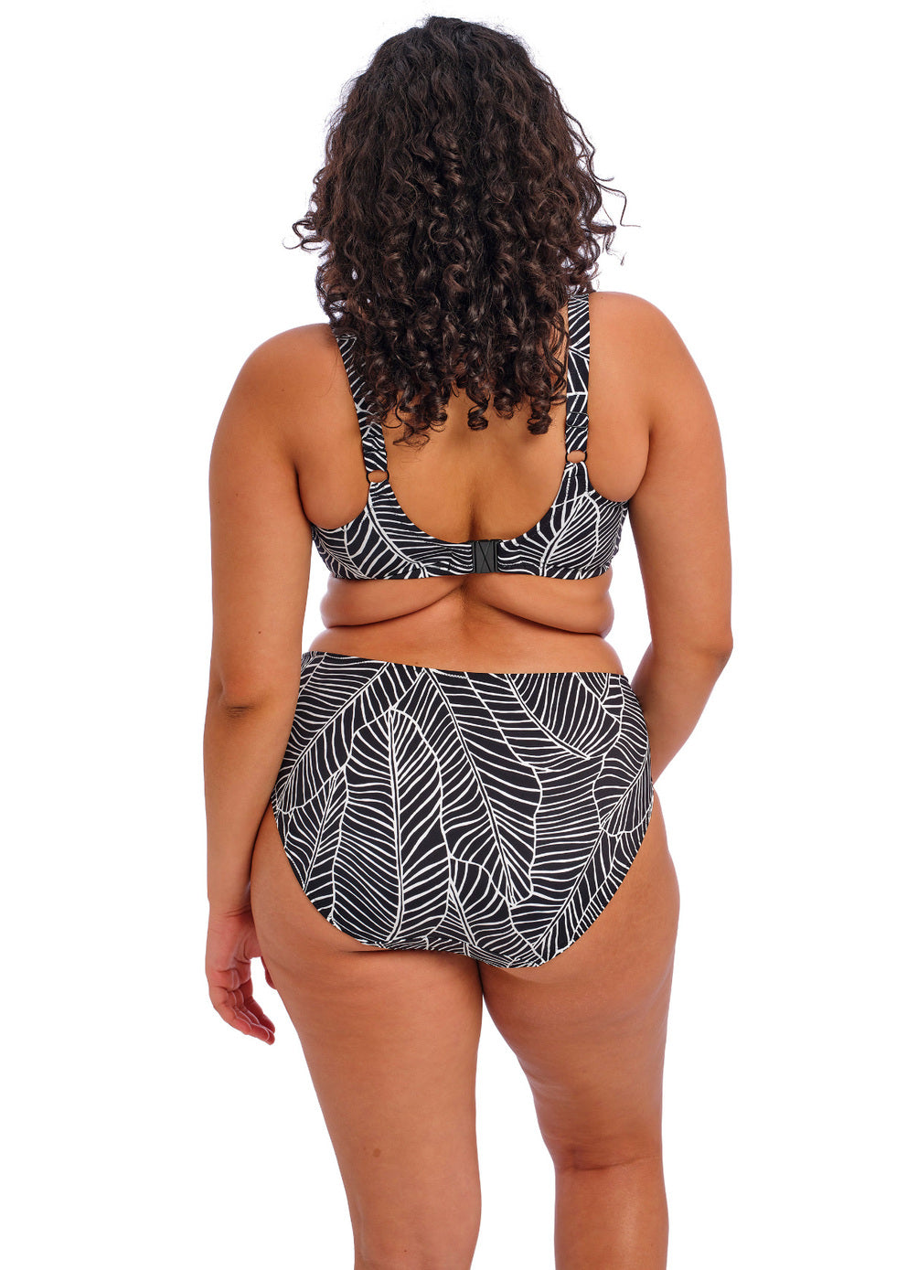 Elomi Kata Mid Rise Bikini Brief *Final Sale* Bra Fittings by Court