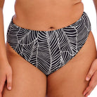 Elomi Kata Mid Rise Bikini Brief *Final Sale* Bra Fittings by Court 12 US / 16 UK (XL) BLACK LEAVES