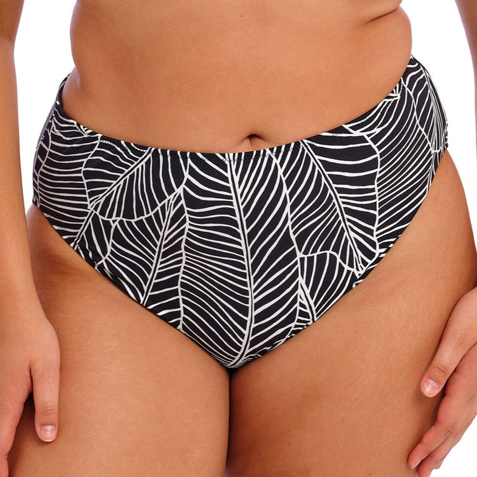 Elomi Kata Mid Rise Bikini Brief *Final Sale* Bra Fittings by Court 12 US / 16 UK (XL) BLACK LEAVES