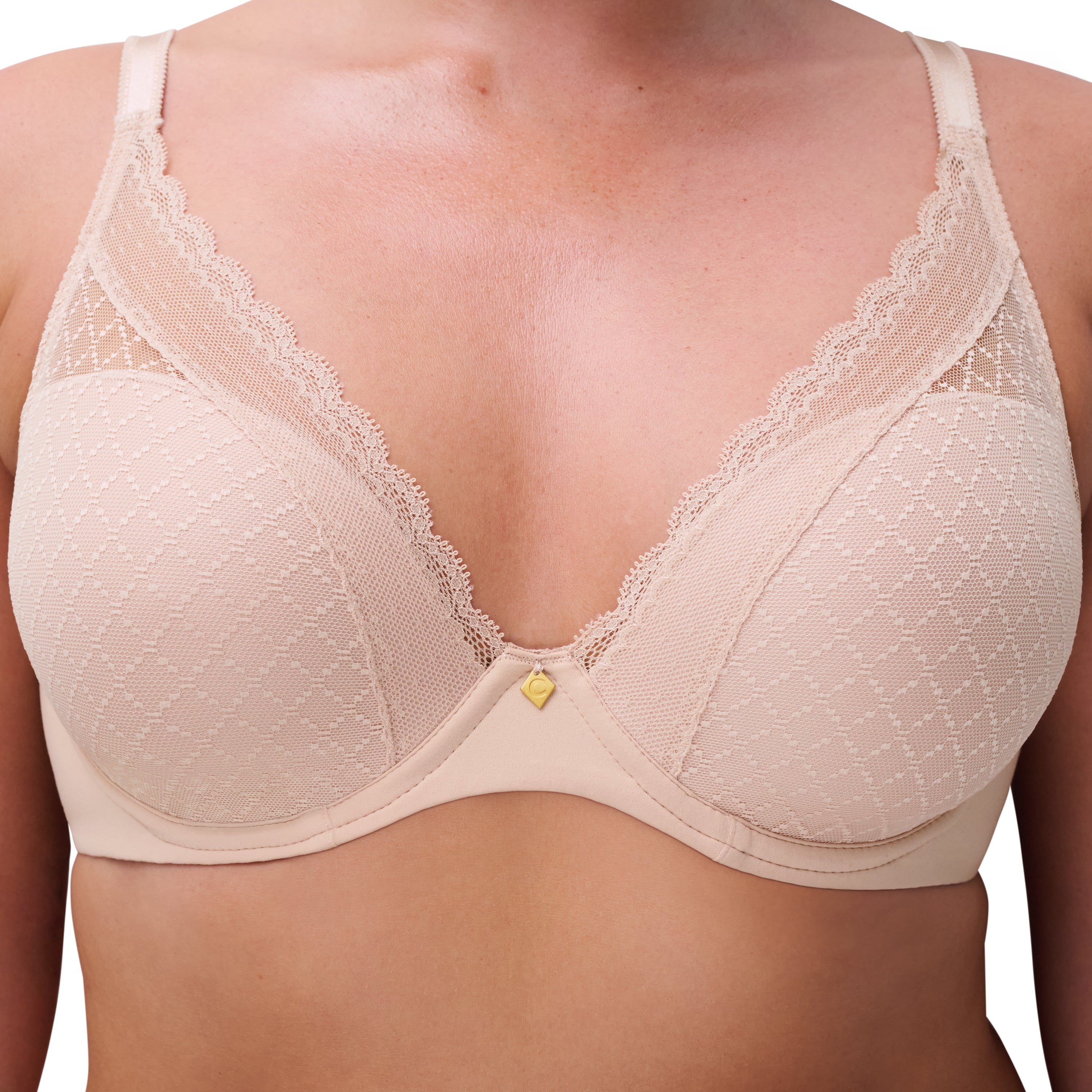 Chantelle Norah Chic Plunge T-Shirt Bra Molded Cup Chantelle 30D ROSE