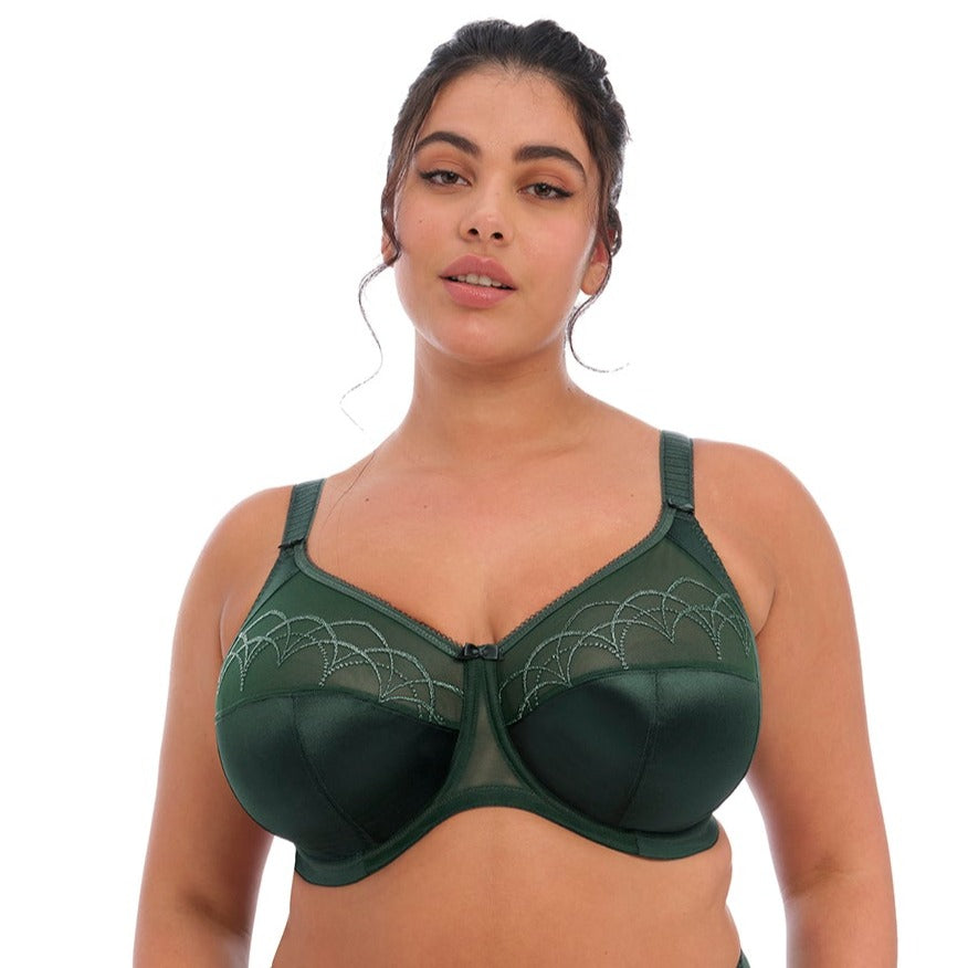 Elomi Cate *Final Sale* Elomi 38G US / 38F UK PINE GROVE