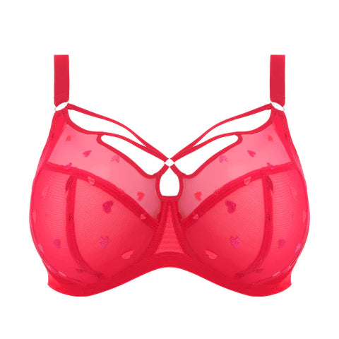 Elomi Sachi Plunge Bra*Final Sale* Plunge Bra Fittings by Court 38H US / 38FF UK RED CONFETTI