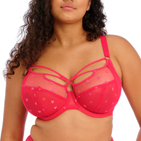 Elomi Sachi Plunge Bra*Final Sale* Plunge Bra Fittings by Court