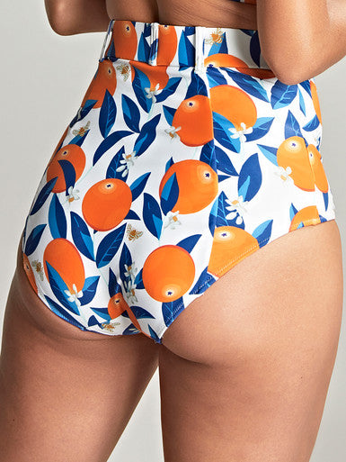 Panache Sicily High Waist Swim Bottom *Final Sale* Bra Fittings by Court