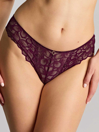 Panache Allure Brazilian Fashion Color - Plum Bra Fittings by Court