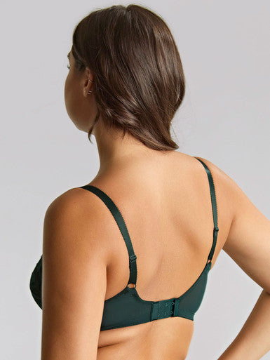 Panache Allure Full Cup - Forest Green Bra Fittings by Court