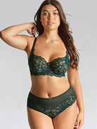 Panache Allure Full Cup - Forest Green Bra Fittings by Court