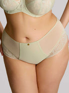 Sculptresse by Panache Dream Deep Brief-Pistachio Bra Fittings by Court
