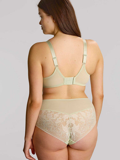 Sculptresse by Panache Dream Deep Brief-Pistachio Bra Fittings by Court