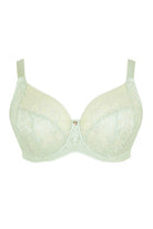 Sculptresse by Panache Dream Bra -Pistachio Bra Fittings by Court 38H US / 38FF UK PISTACHIO