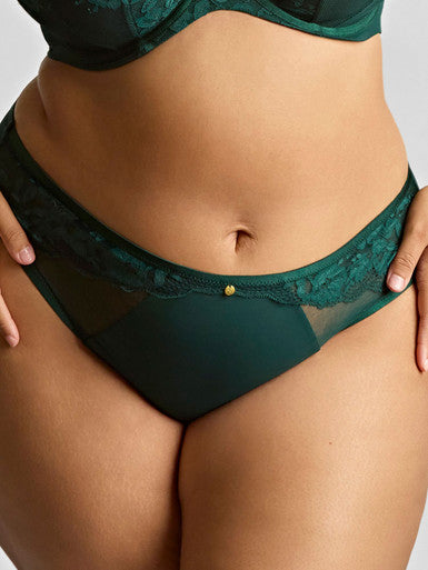 Sculptresse by Panache Josephine High Leg Brief Bra Fittings by Court