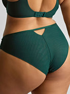 Sculptresse by Panache Josephine High Leg Brief Bra Fittings by Court