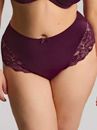 Sculptresse by Panache Amara Deep Brief - Plum Bra Fittings by Court