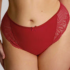 Sculptresse by Panache Entice Brazilian Brief Bra Fittings by Court