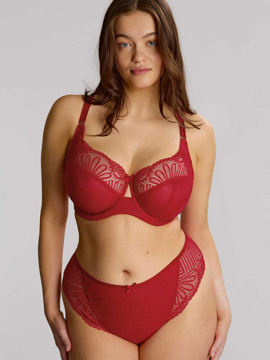 Sculptresse by Panache Entice Brazilian Brief Bra Fittings by Court