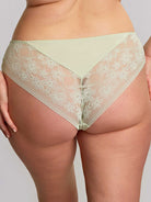 Panache Celeste Brazilian - Pistachio Bra Fittings by Court