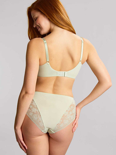 Panache Celeste Deep Brief - Pistachio Bra Fittings by Court
