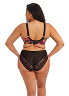 Elomi Morgan High Leg Brief - Hot House Brief Elomi