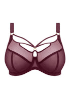 Elomi Sachi Plunge Bra *Final Sale* Plunge Bra Fittings by Court 32J US / 32GG UK CABERNET