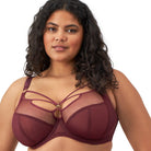 Elomi Sachi Plunge Bra - Cabernet Plunge Bra Fittings by Court