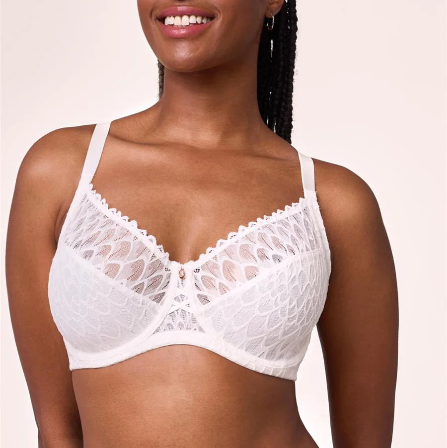Montelle Lacy Muse - Chantilly Montelle