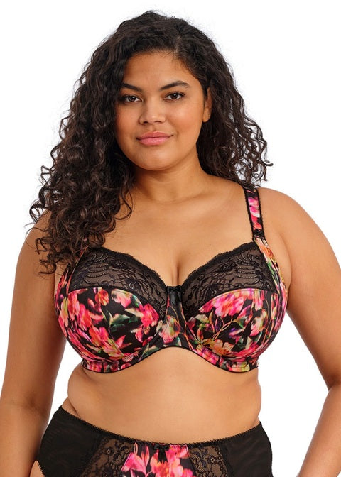 Elomi Morgan Fashion Color - Hot House Elomi