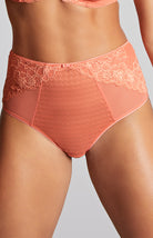 Panache Envy Deep Brief - Terracotta Bra Fittings by Court