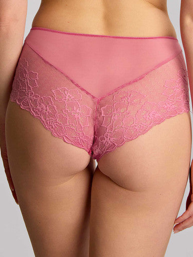 Panache Envy Deep Brief - Fuschia Pink Bra Fittings by Court