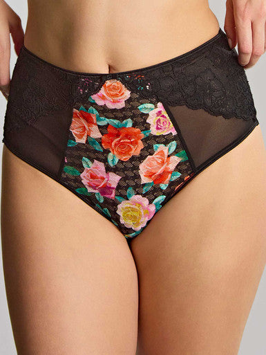 Panache Envy Deep Brief - Black Rose Bra Fittings by Court