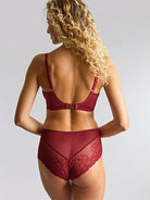 Panache Envy Deep Brief - Sparkling Cherry Bra Fittings by Court