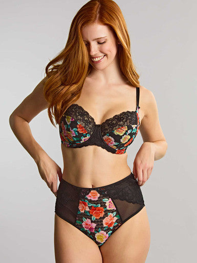 Panache Envy Deep Brief - Black Rose Bra Fittings by Court