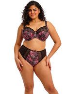 Elomi Morgan Fashion Color - Dark Romance Bra Fittings by Court