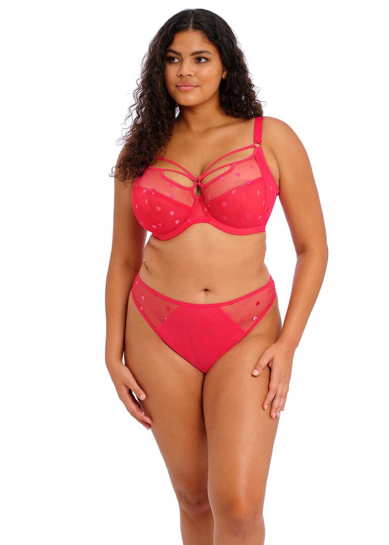 Elomi Sachi Thong - Fashion Color – Bra Fittings by Court