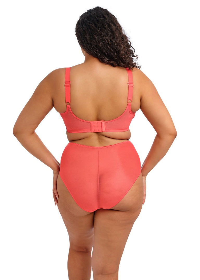 Elomi Matilda Brief - Sunset Brief Elomi