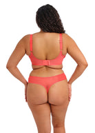 Elomi Matilda Thong - Sunset Thong Elomi
