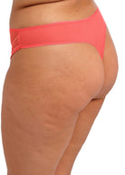 Elomi Matilda Thong - Sunset Thong Elomi
