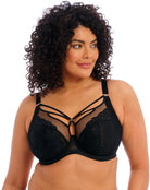 Elomi Brianna Underwire Plunge Bra Bra Fittings by Court