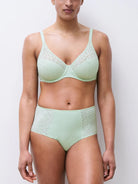 Chantelle Norah Comfort High Waist Brief - Celadon Chantelle 6 US / 10 UK (S) CELADON