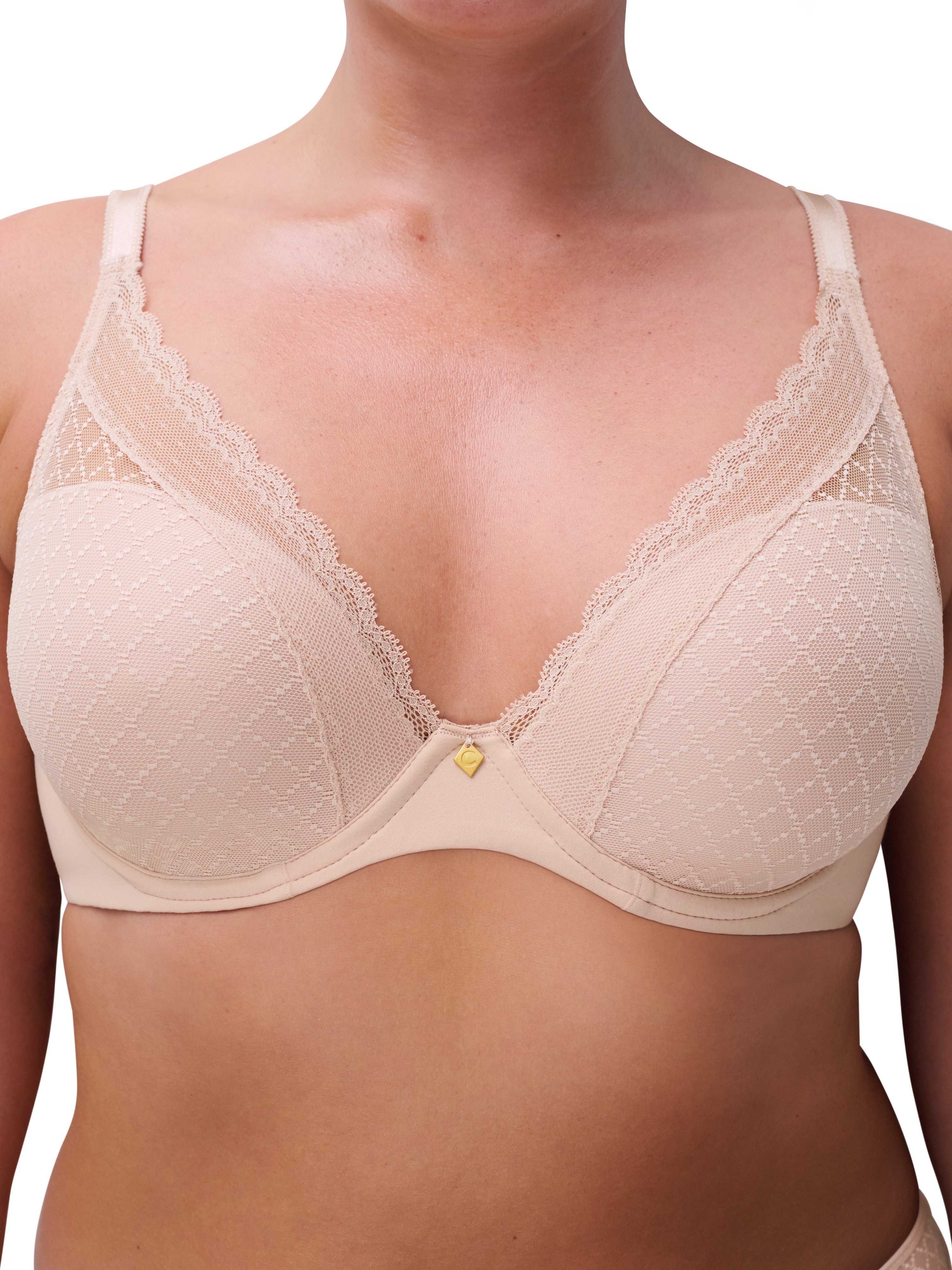 Chantelle Norah Chic Plunge T-Shirt Bra Molded Cup Chantelle 30D ROSE