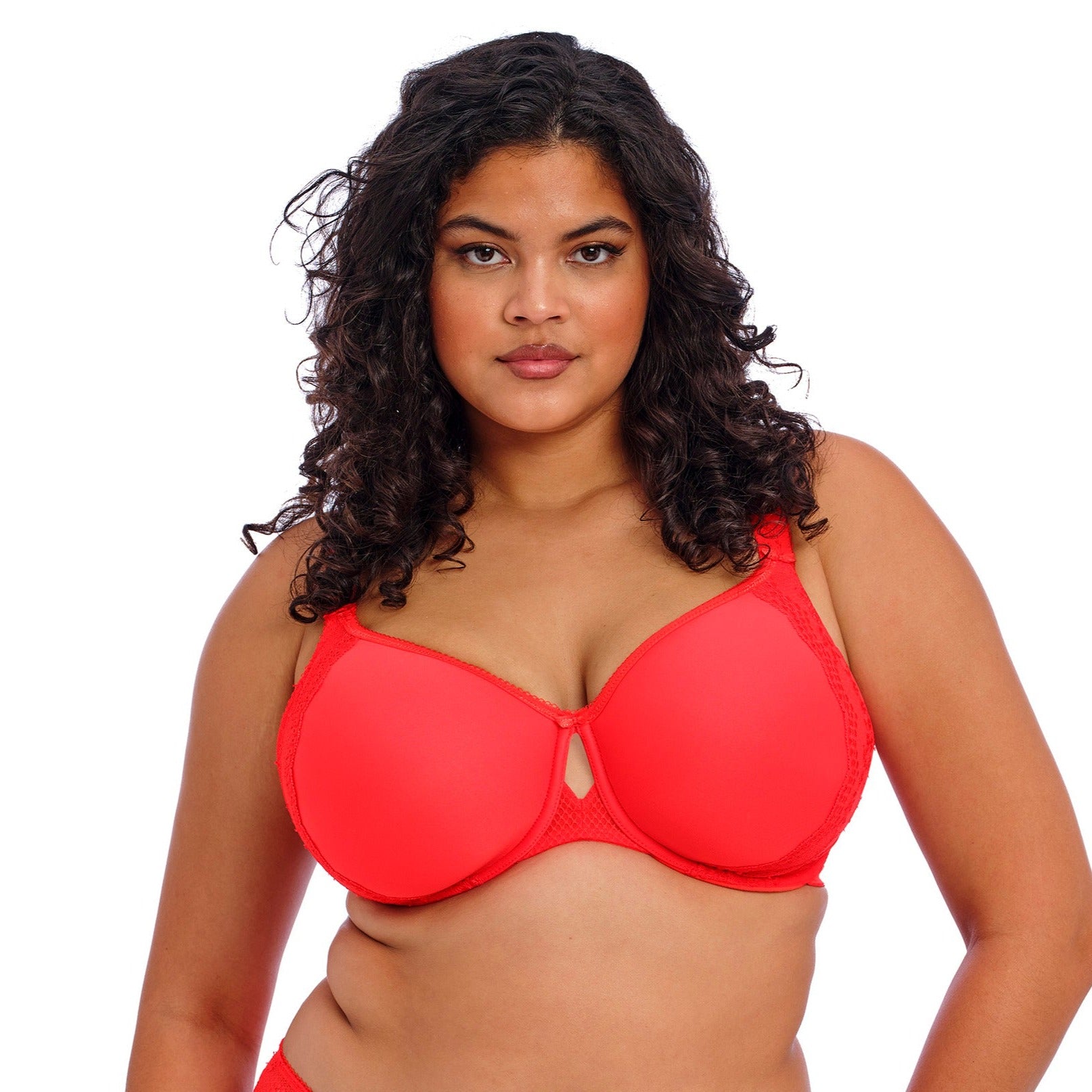 Elomi Charley (Fashion Colors) - New – Bra Fittings by Court