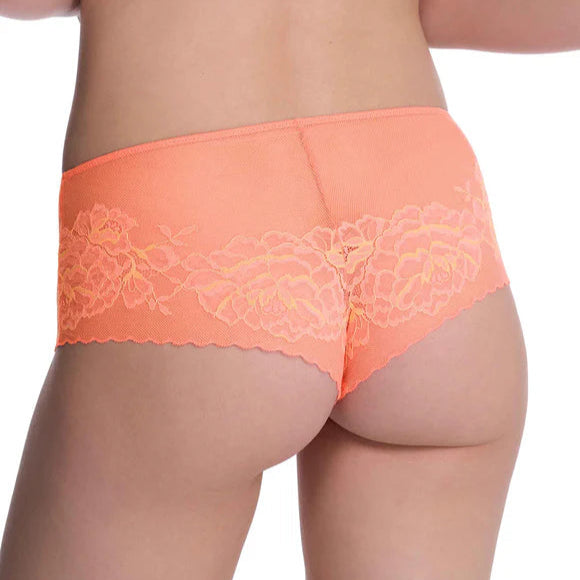 Natori Flora Girl Brief Bra Fittings by Court